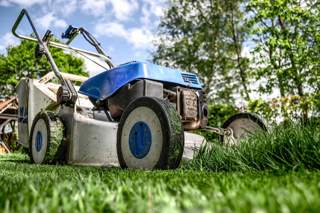 my-steps lawn mower, grass, garden, front yard, gardening, lawn-mower chassis, lawn, cutting, gardener, nature, equipment, machine, backyard, mower, maintenance, yard